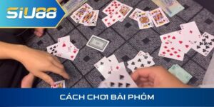 Cách chơi bài phỏm