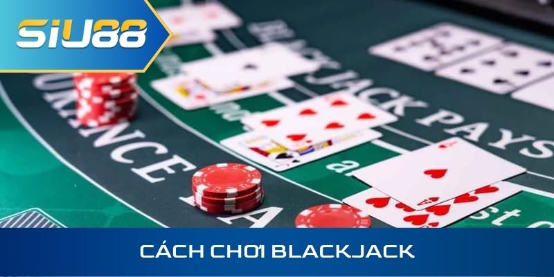 Cách chơi blackjack
