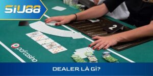 dealer là gì