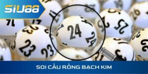 Soi cầu rồng bạch kim hôm nay