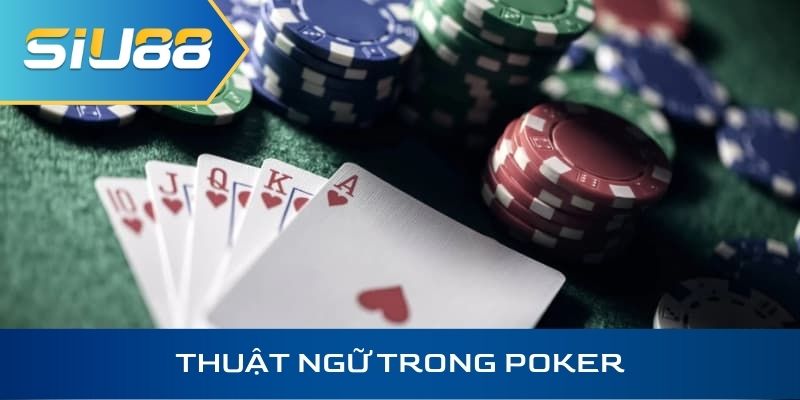 Thuật ngữ trong poker