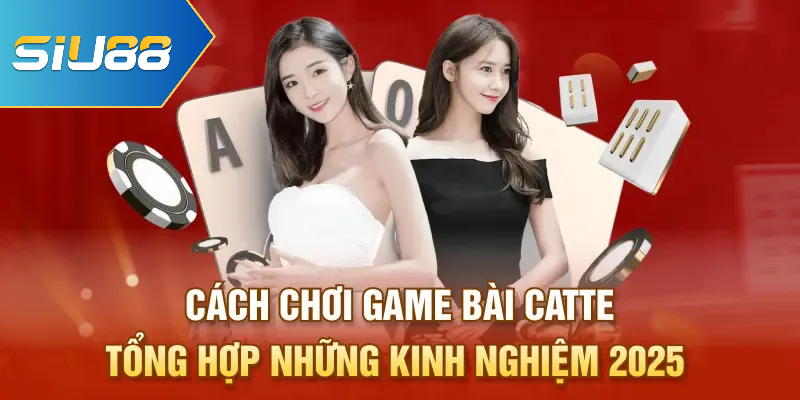 Cách Chơi Game Bài Catte - Tổng Hợp Những Kinh Nghiệm