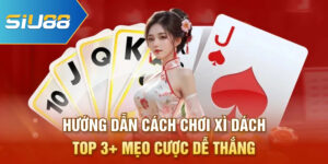 Hướng Dẫn Cách Chơi Xì Dách - Top 3+ Mẹo Cược Dễ Thắng