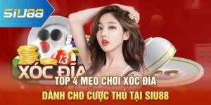 Top 4 Mẹo Chơi Xóc Đĩa Dành Cho Cược Thủ Tại Siu88
